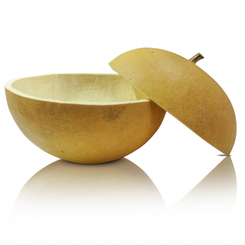 Naturelle ApS - Wholesale Decorative Plate/Dish/Bowl - AUTHENTIC KALABA BOWL - PUMPKIN BOWL0