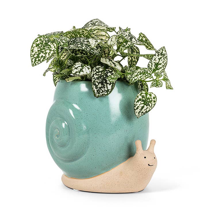 Abbott - Wholesale Plant Pot - Tall Turq Snail Planter-5"H1