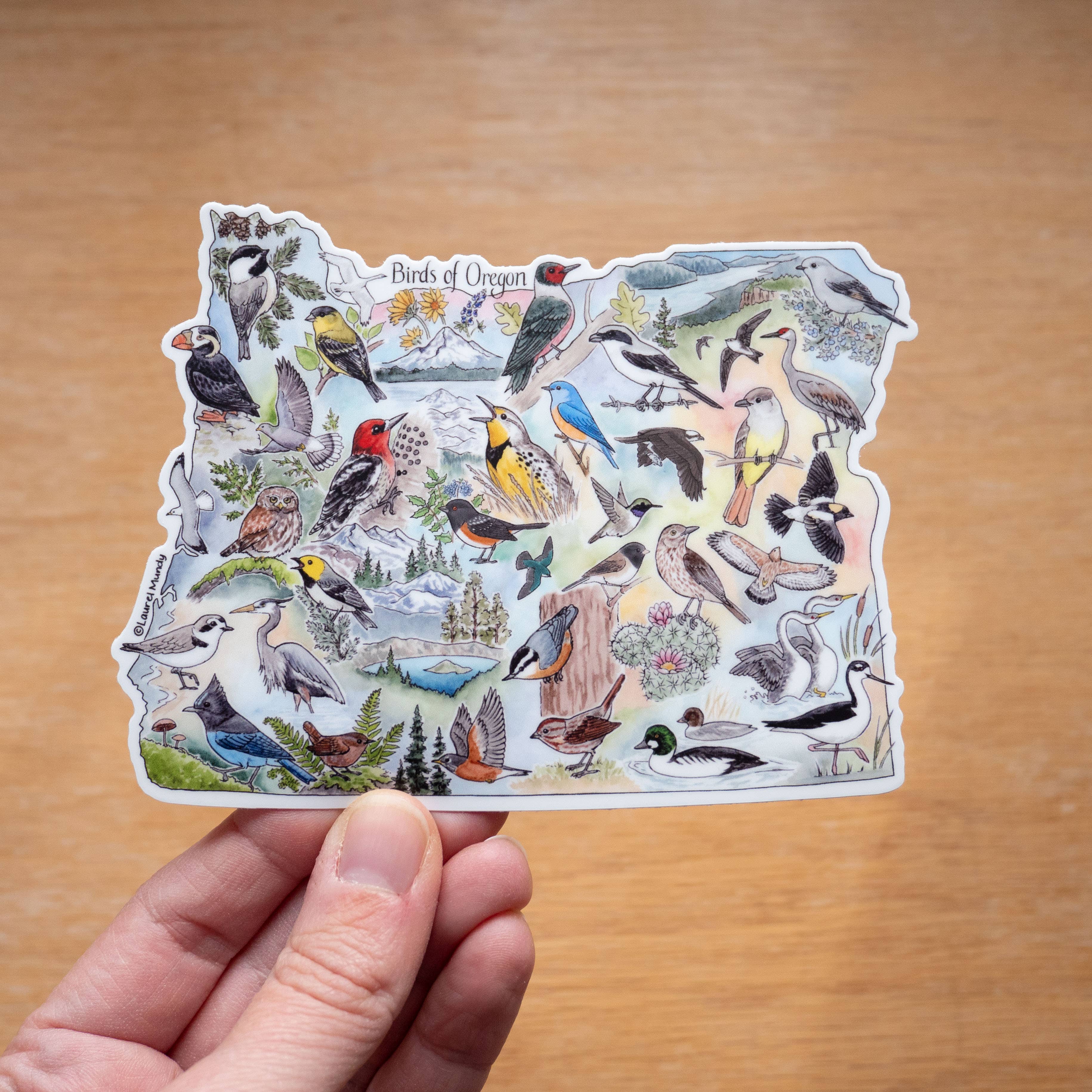 Laurel Mundy Illustration - Vente Autocollant - Autocollant en vinyle grand format 5"X3,75" Oiseaux de l'Oregon