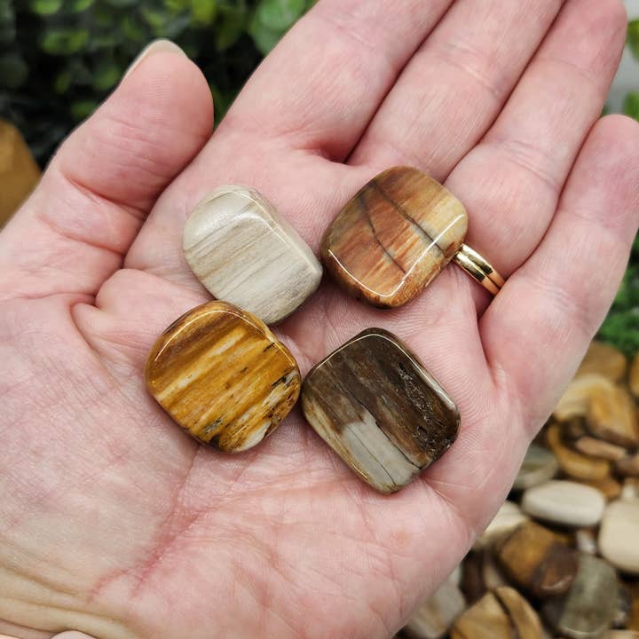 Meraki Gemstones – wholesale Andlig sten/kristall – Planpolerade stenar av förstenat trä, 0,5 kg – 20x25x6 mm3