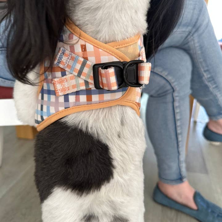 Dizzy Dog Collars - Wholesale Pet Harness - Dog - Step In Dog Harness: No Pull Harness | For XS to Medium Dogs & Cats | Vintage Gingham2