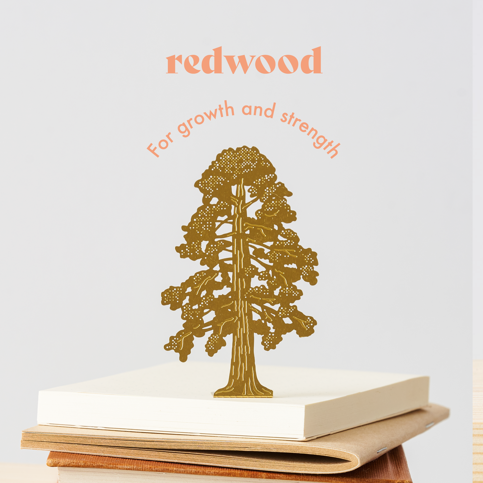 Another Studio UK – wholesale Prydnad – Liten trädredwood, mässingsminnessakdekoration, brevlådepresent1