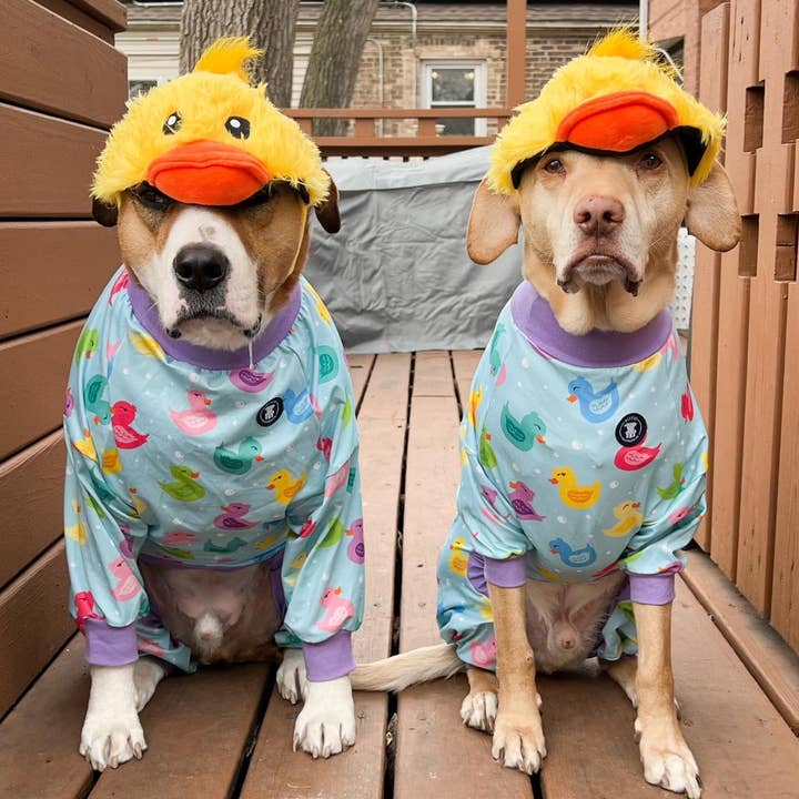 Pittie Clothing Co. - Wholesale Pet Pajamas - Dog - Purple 'So Ducking Cute' Pit bull Pajamas
