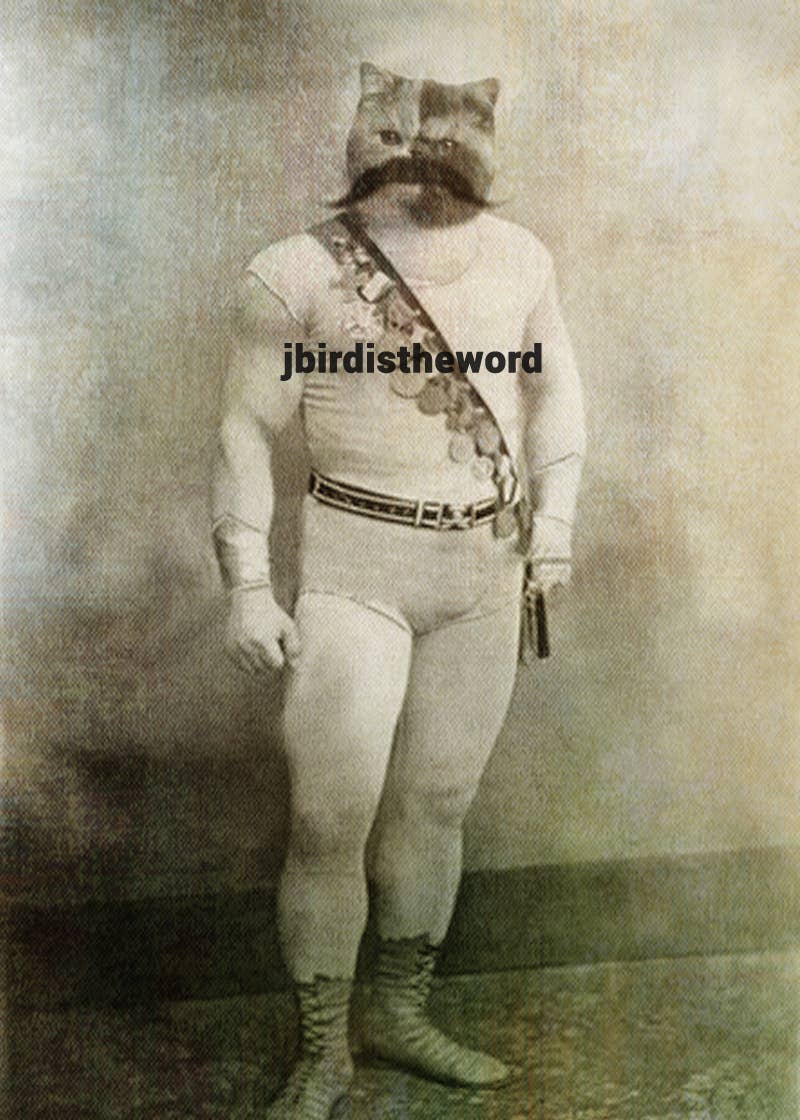 The Wild Oddisorium - Wholesale Art Print - Strong Cat Print1