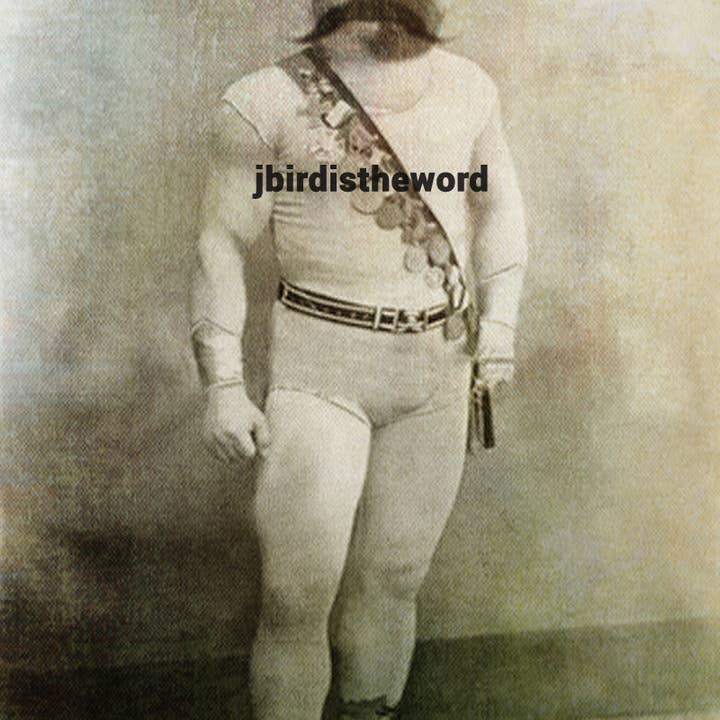 The Wild Oddisorium - Wholesale Art Print - Strong Cat Print1