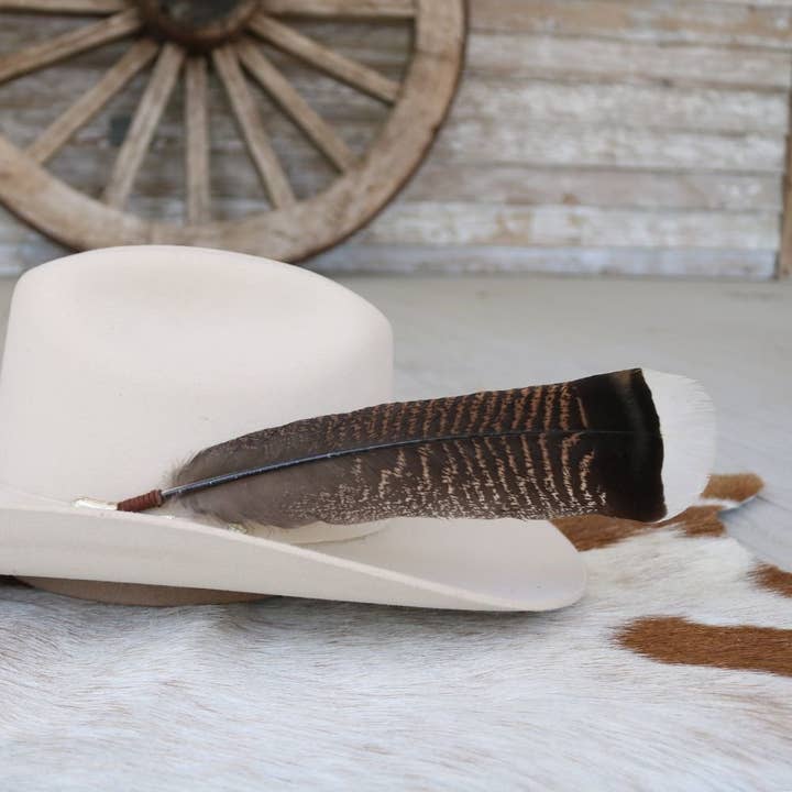Título predeterminado Acento de plumas de pavo - El Chaco de venta al por mayor en Faire