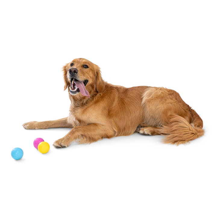 West Paw - Wholesale Pet Fetch Ball - Dog - Boundr® 2-Pack Dog Toy Ball for Play, Chew, and Fetch7