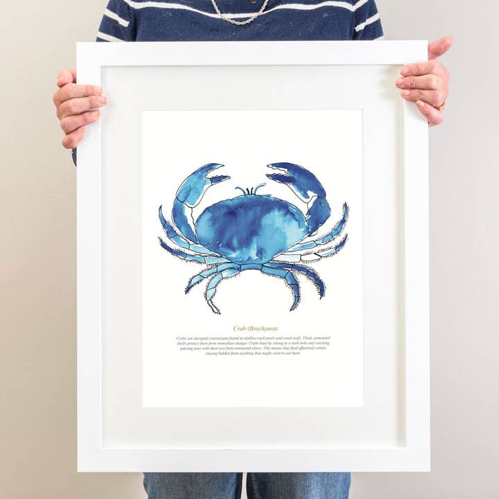 Crab Watercolour Print for wholesale by SeaKisses