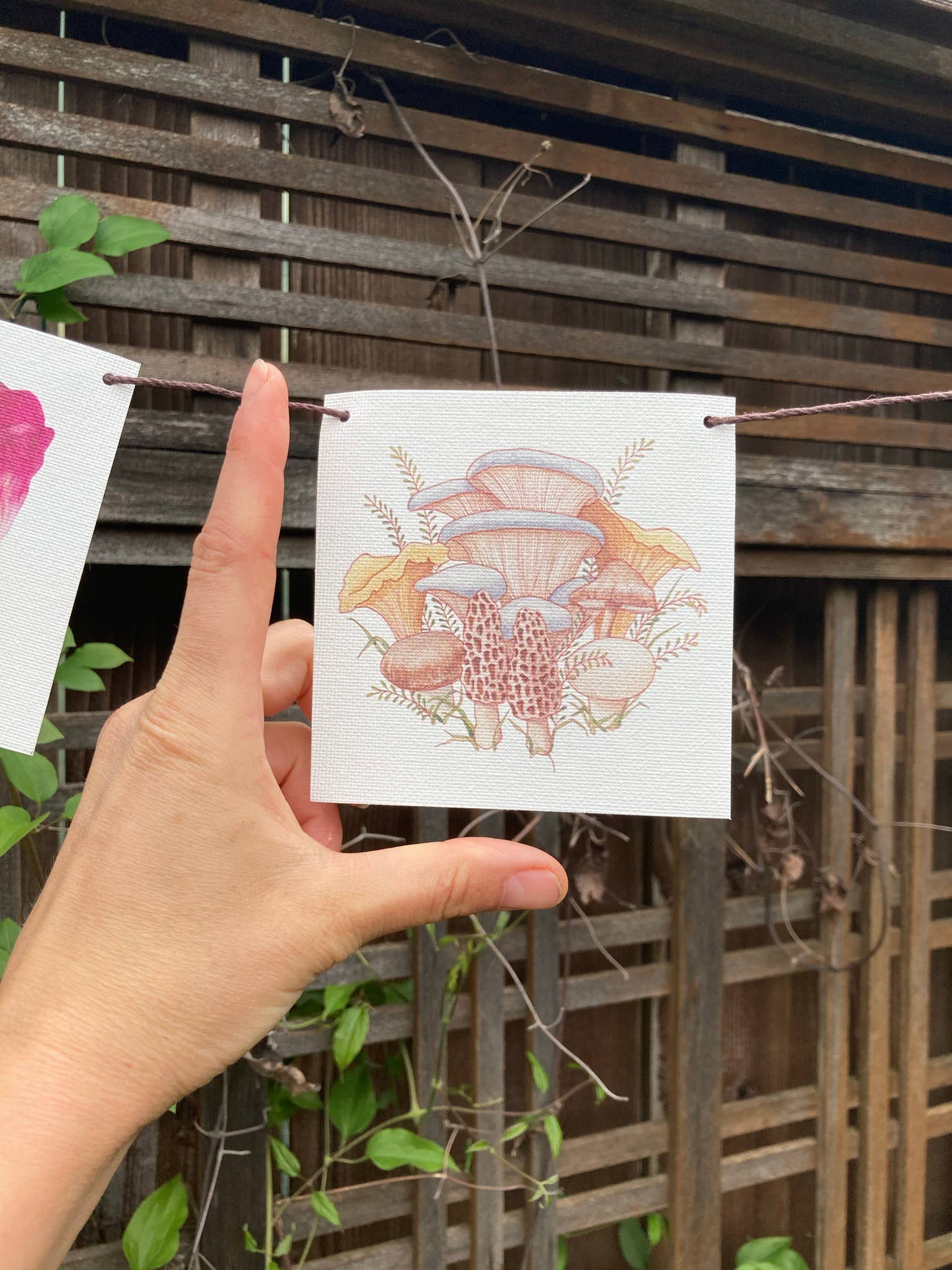 Plant Posse – wholesale Banner – Produce Prayer Flag21