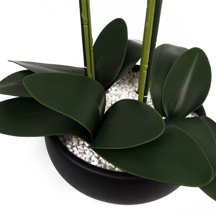 Leaf Design UK LTD โ wholesale Artificial flowers โ Orchid White Black Ceramic Planter4