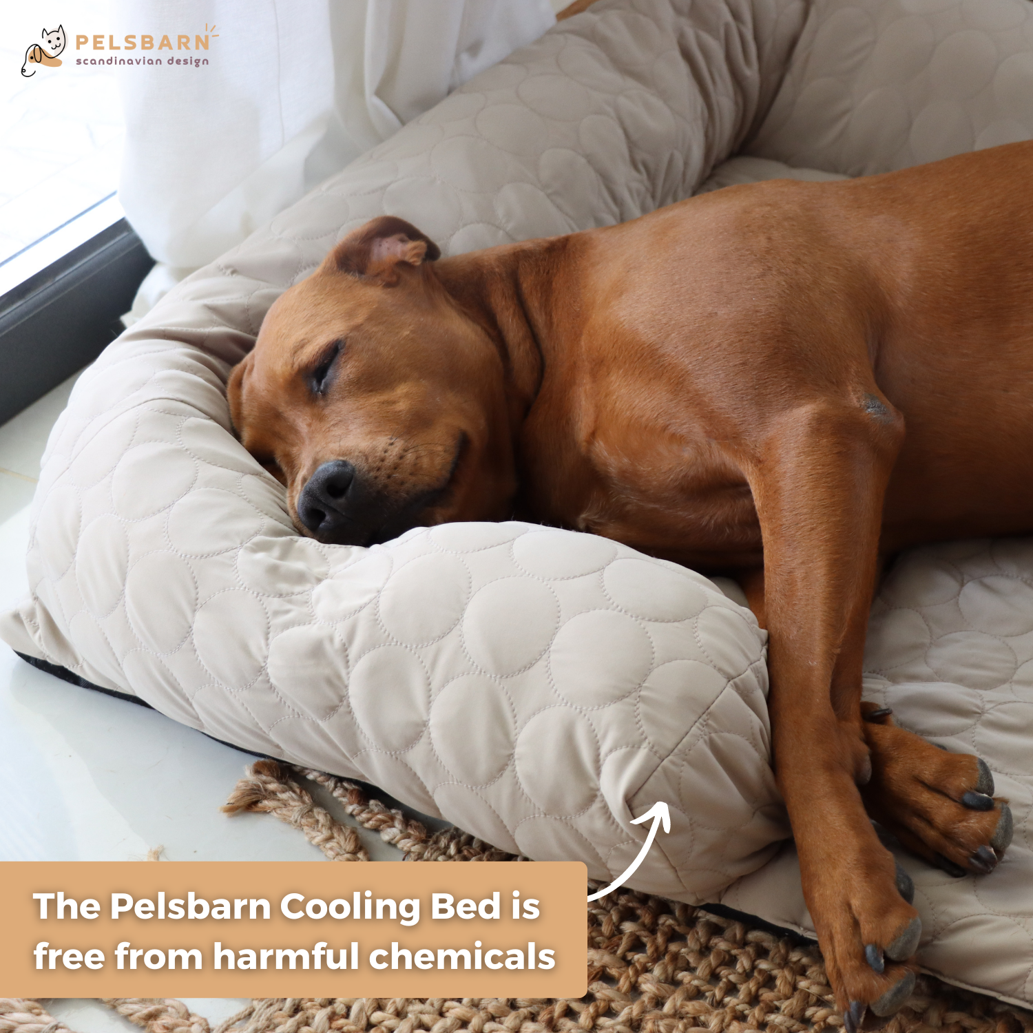 Pelsbarn - Wholesale Pet Bed - Dog - HeatRelief™ Cooling Dog Bed - Pelsbarn Helps Shelter Dogs!16