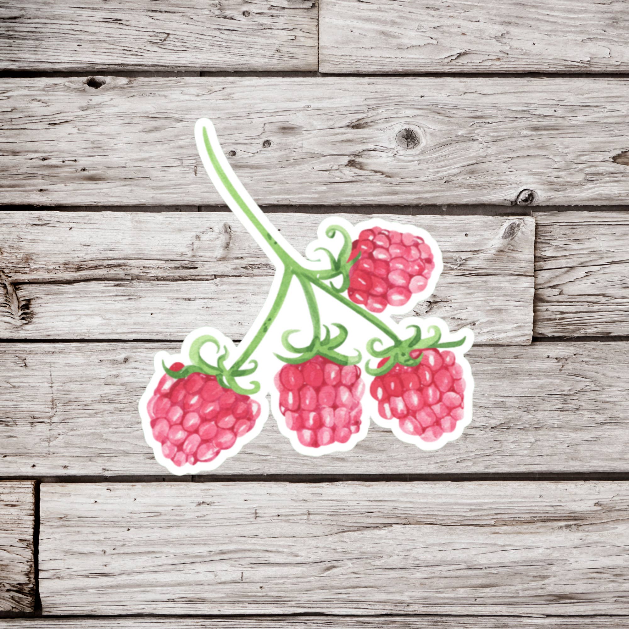 NatureCuts - Wholesale Sticker - Raspberry Sticker, Berry Sticker, Fruit Sticker