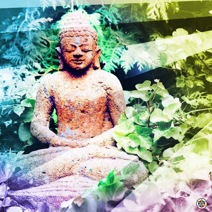 Medicinal Foods, LLC – Engroshandel Sundheds-/detox-te – Søvn & Meditation Tonic Wild-udformet beroligende urter