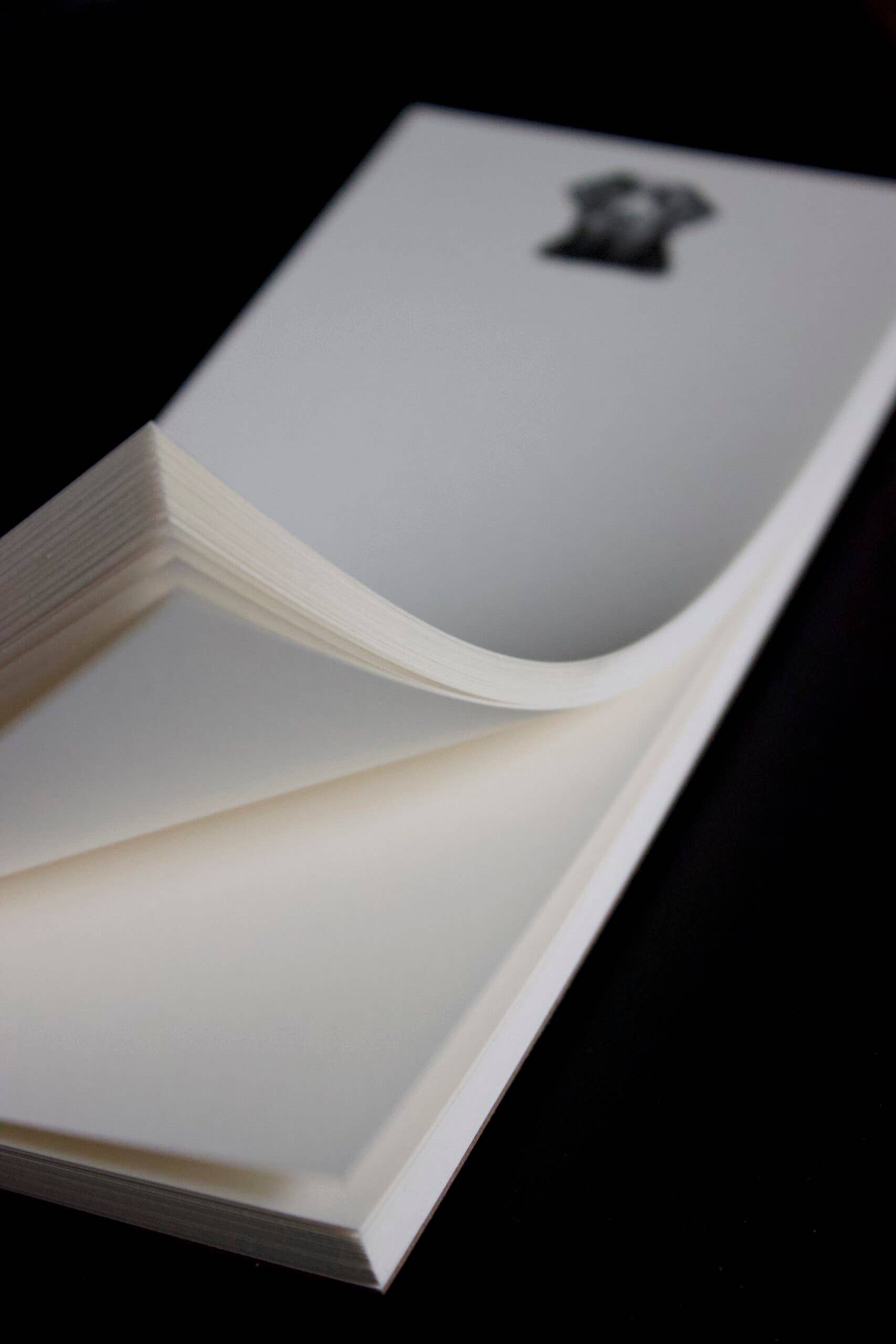 Ancesserie Letterpress - Wholesale Notepad - Lab Long Pad2