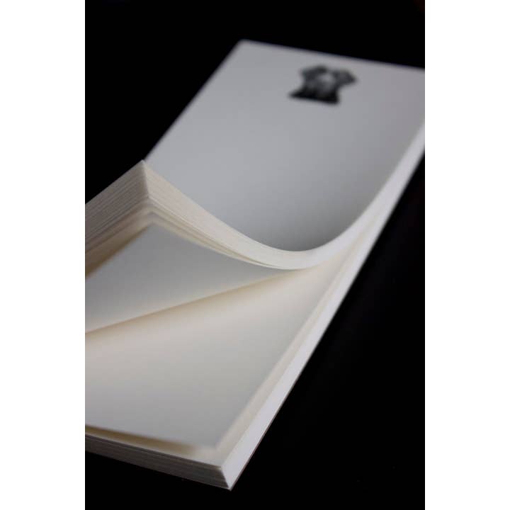 Ancesserie Letterpress - Wholesale Notepad - Lab Long Pad2