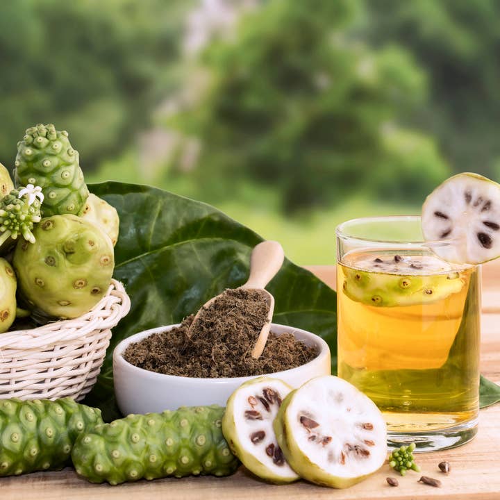 Herb To Body – Großhandel Protein-/Superfood-Pulver – Noni-Fruchtpulver1