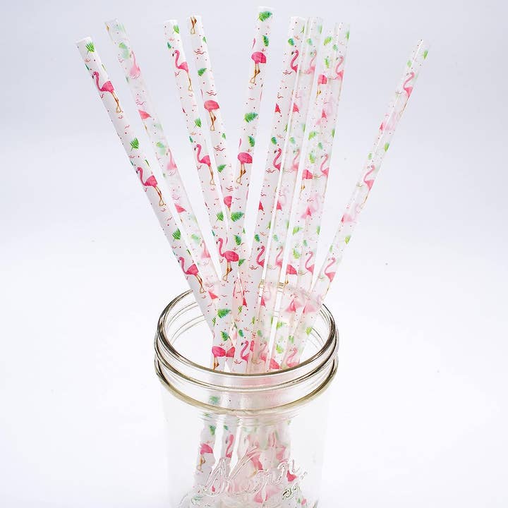 Aztec Sky - Wholesale Drinking Straw - Reusable BPA Free Plastic Drinking Straws