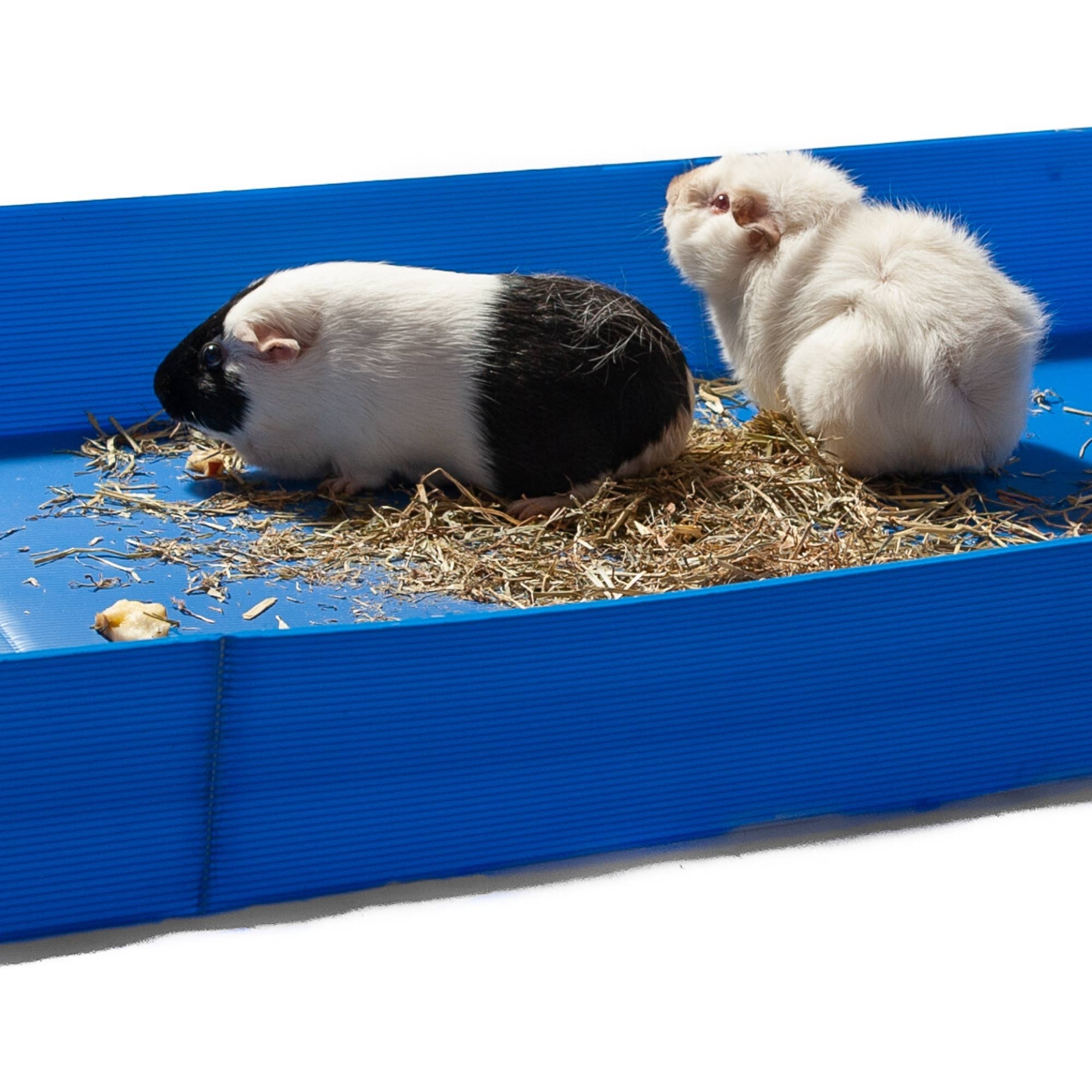 Midlee Designs - Wholesale Pet Cleaning Supplies - Midlee Corrugated Plastic Guinea Pig Cage Liner7