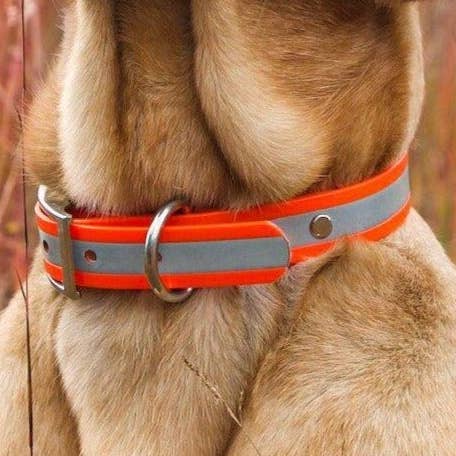Collier réfléchissant en Biothane imperméable de 1" pour la vente par Contigo Dogs
