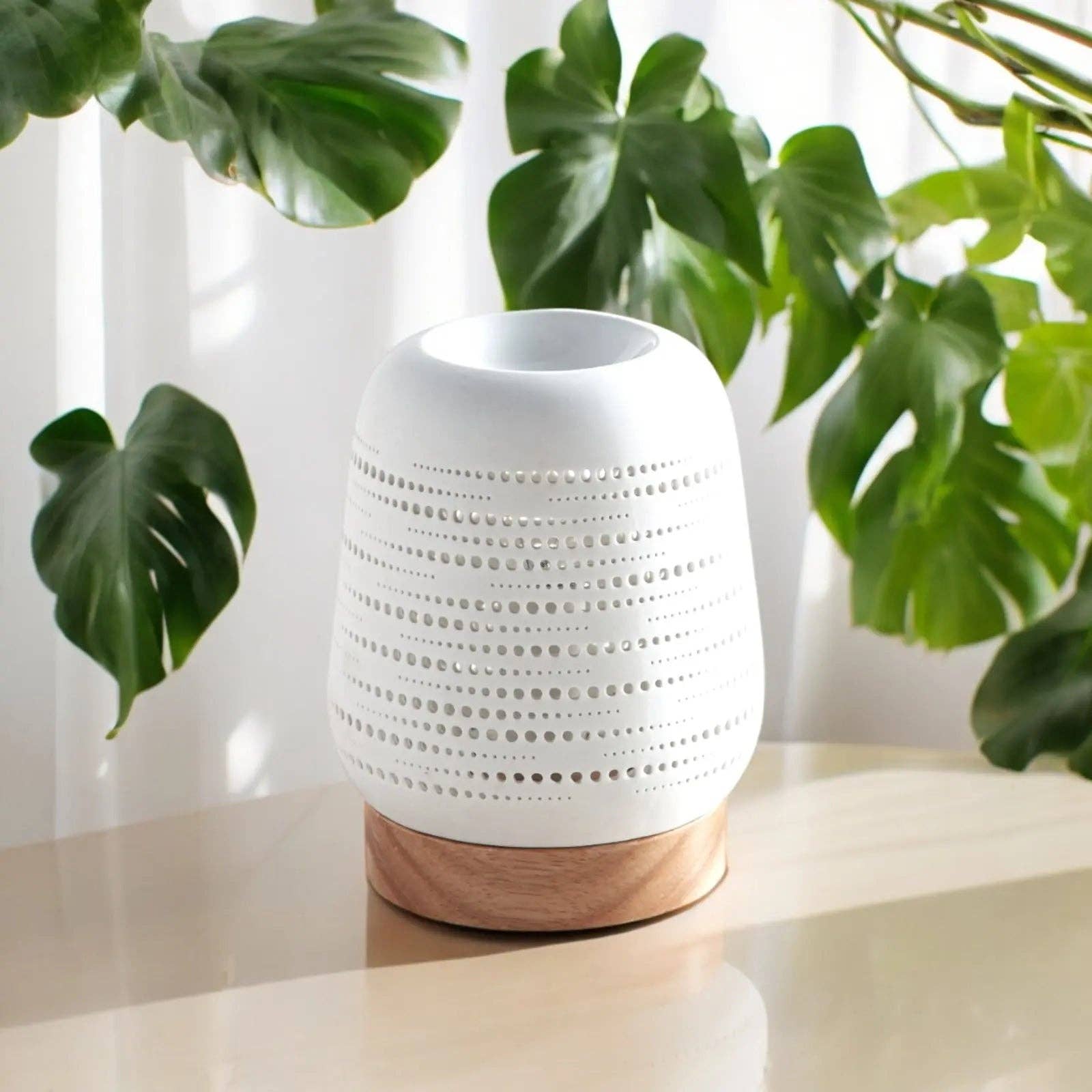 CocoBen's - Wholesale Fragrance Warmer - Soft Heat Diffuser - CALORYA No. 16