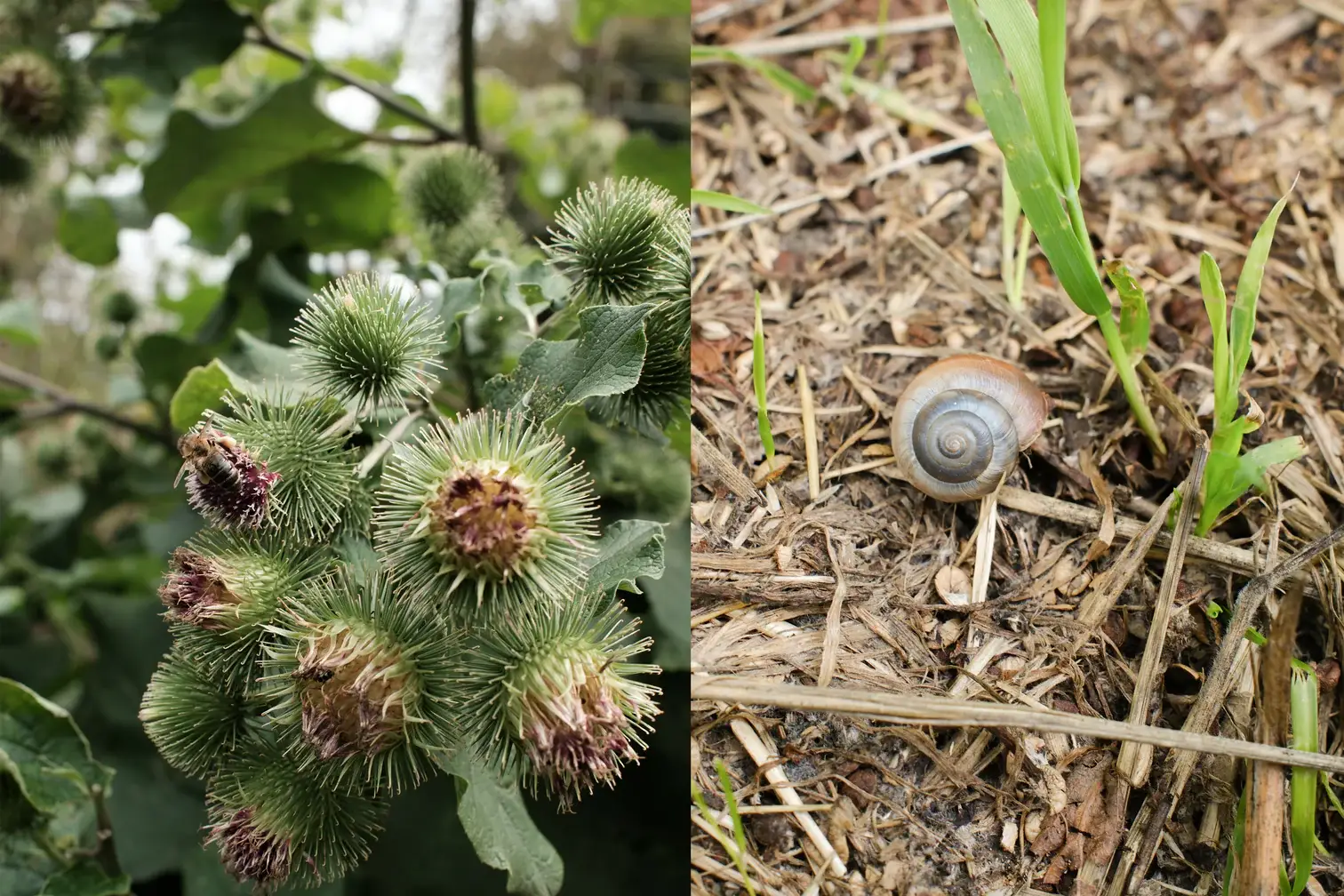 Pelegrims – wholesale Jar/filled candle – Summer Exploration Candle3