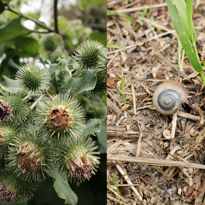 Pelegrims – wholesale Jar/filled candle – Summer Exploration Candle3