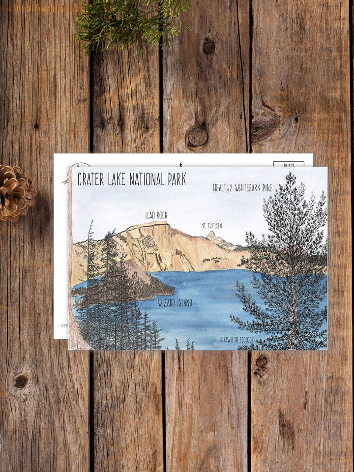 Postal del lago del cráter para venta al por mayor de Drawn to Ecology