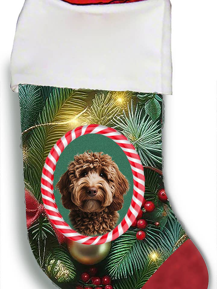 Labradoodle Chocolate - Christmas Stocking for wholesale by Best of Breed Products