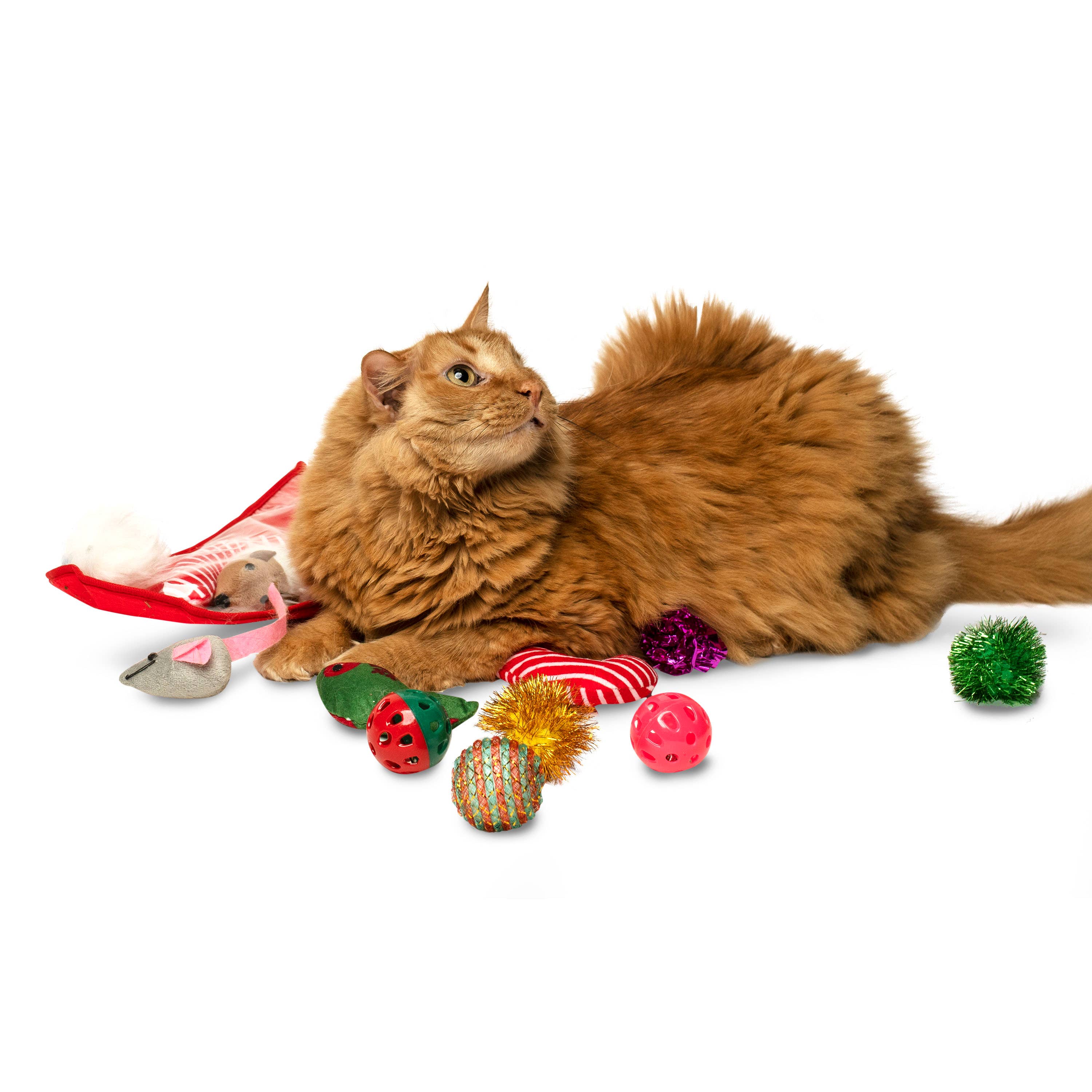 Midlee Designs – Engroshandel Legetøjssæt - Kat – Midlee Christmas Strømpe Cat Toy Gavesæt (14 Legetøj)5