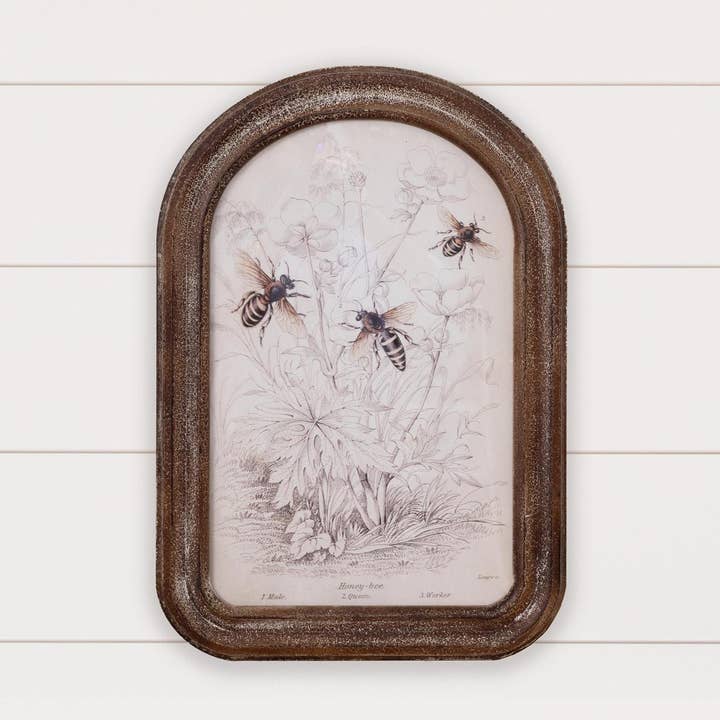 FRAMED BEE PRINT for wholesale by Crafted Hive Culture