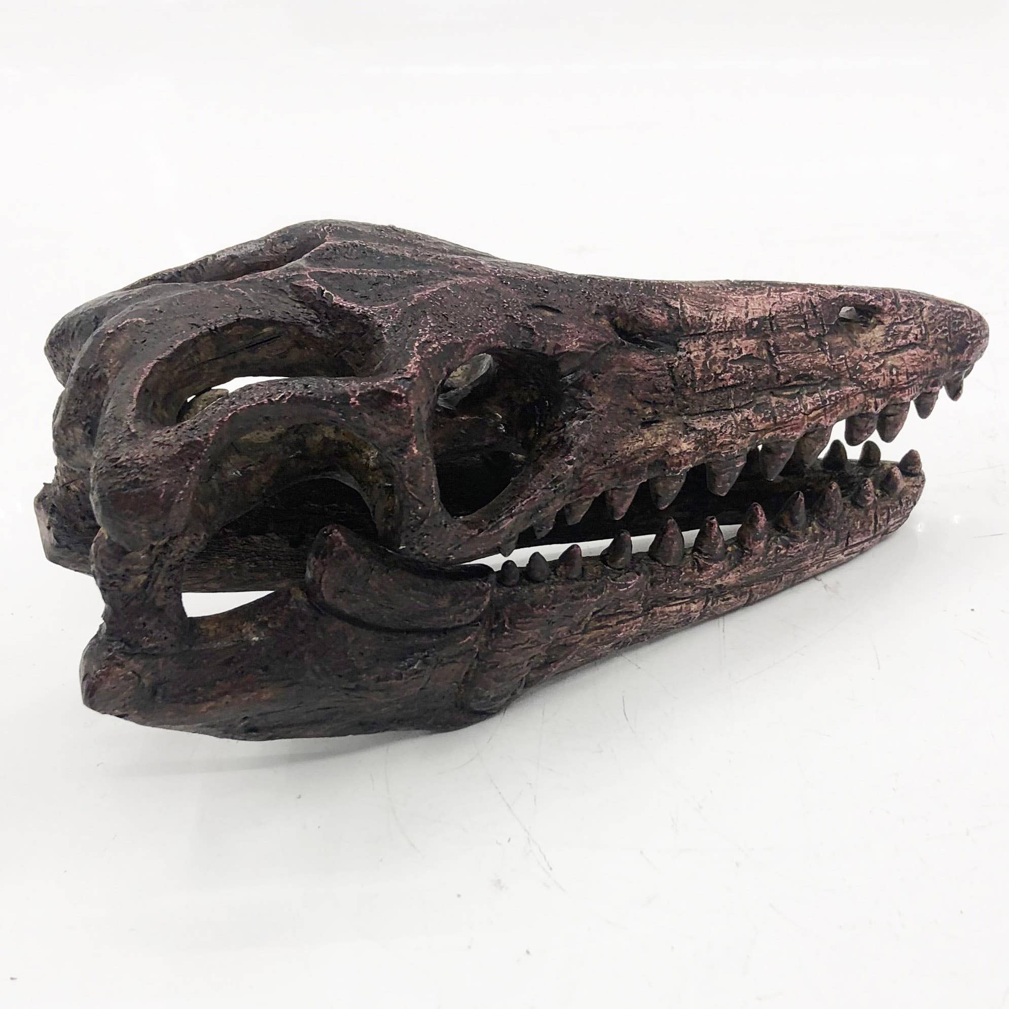 Modern World by Contrast Inc. – Engroshandel Pyntefigur – Faux Mosasaurus Mini Dinosaur Fossil Skull1