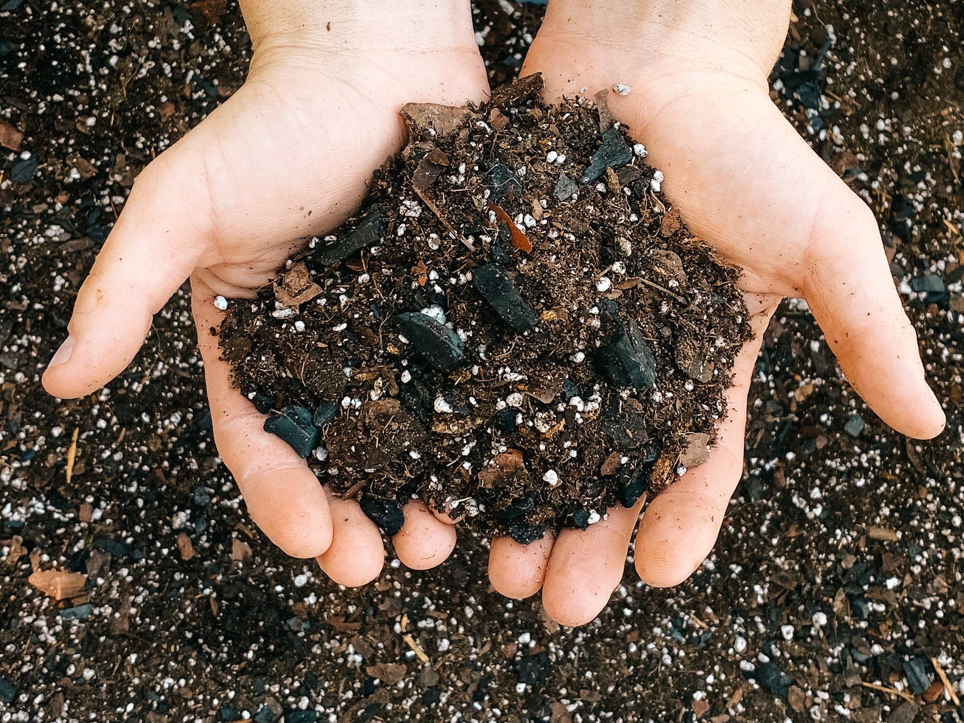 BWH Plant Co - Wholesale Planting/Potting Soil - Dirt Bag: 2 Gallon5