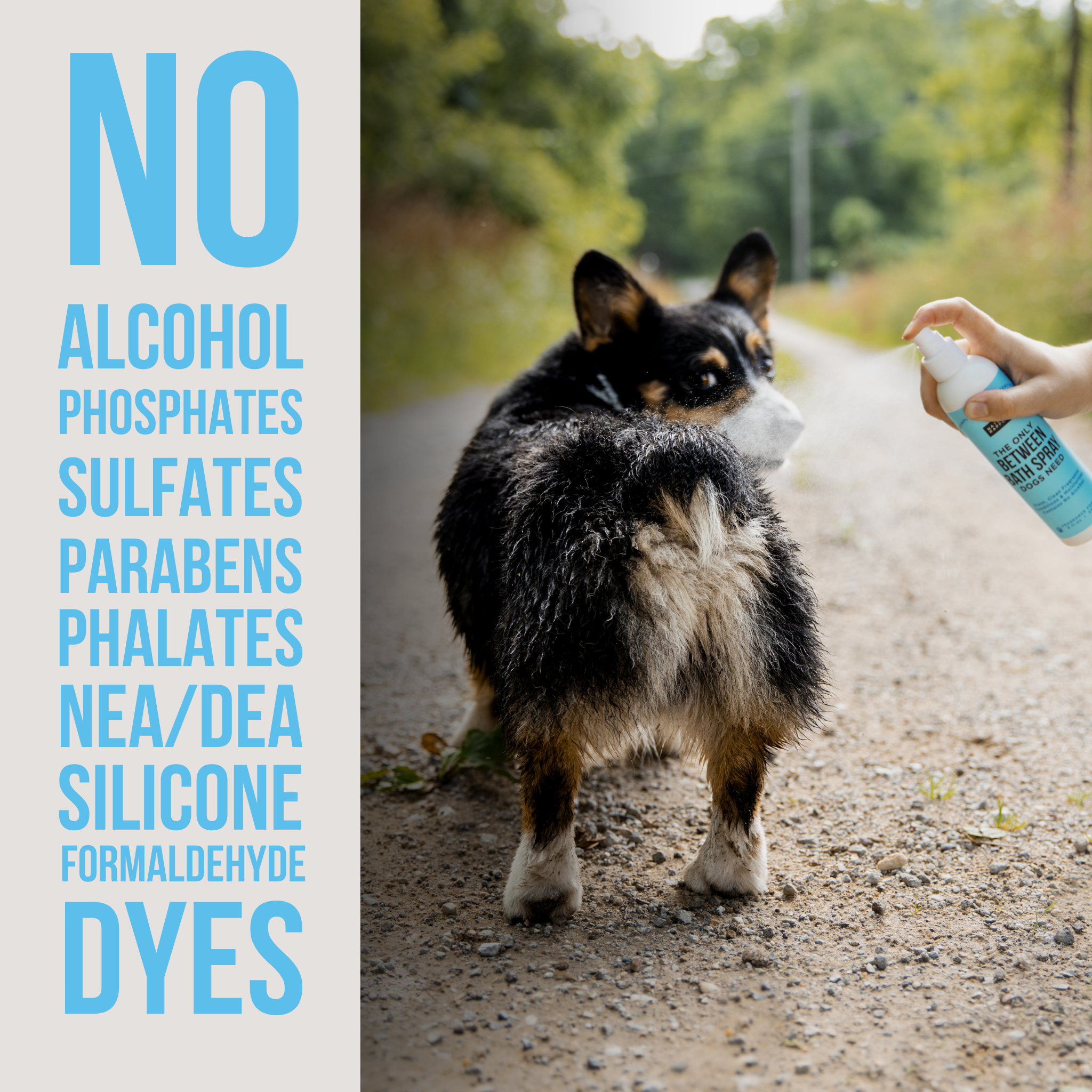 Natural Rapport - Wholesale Pet spray – Dog - The Only Between Bath Spray Dogs Need - Amber & Sandalwood2