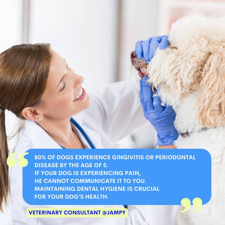 JAMPY - Wholesale Pet Toothpaste - Dog - Kiss Me - Natural Dental Spray to Fight Halitosis for Dogs