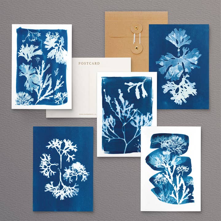 Britisk tangpostkort gavesæt | Fødselsdage, tak for engroshandel hos Paper Birch