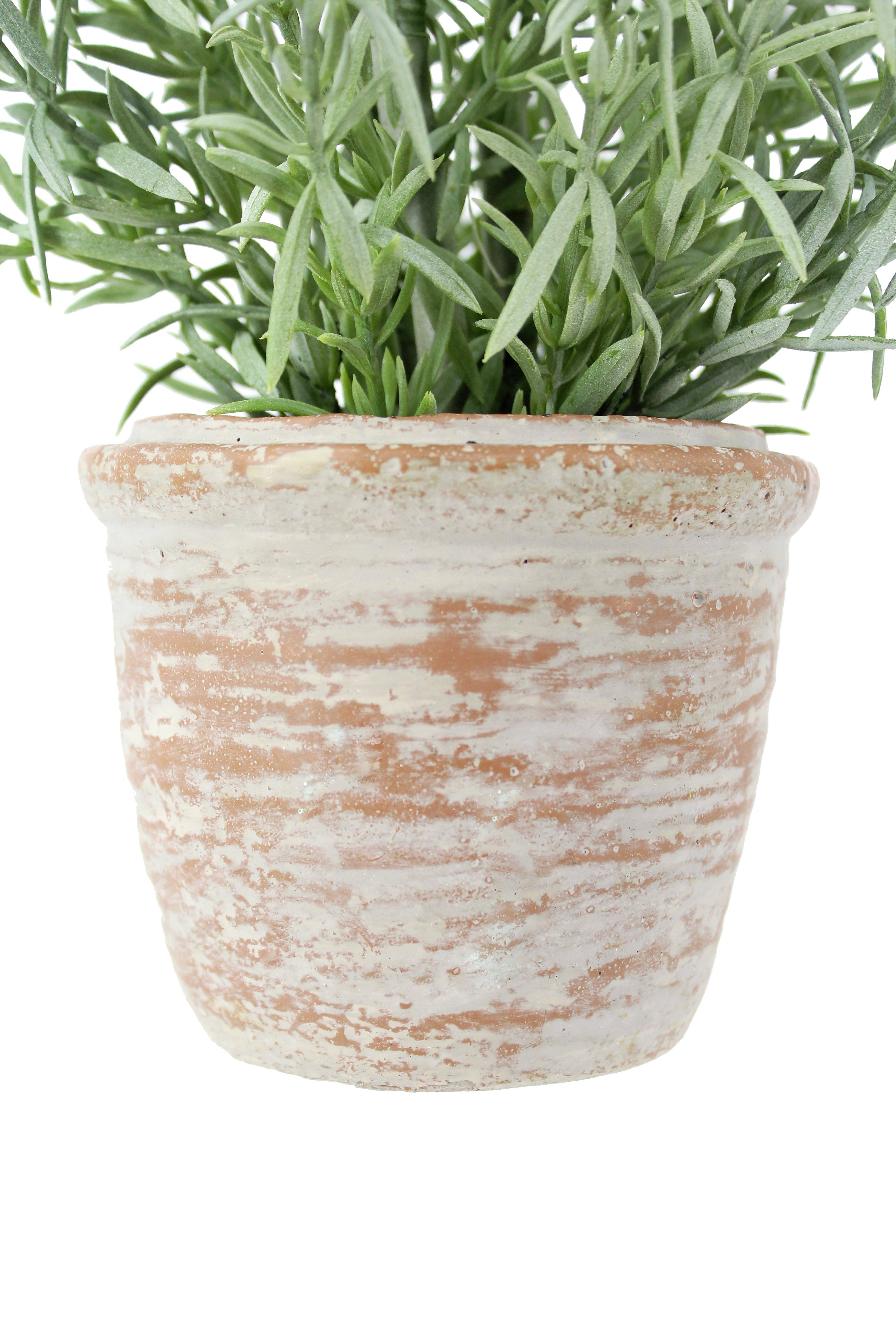 CG Hunter - Wholesale Artificial Plant - 12" Rosemary & 16" Olive Topiary Set6