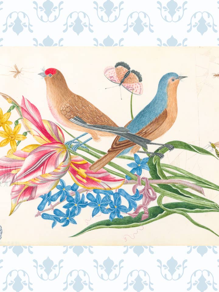 Bright Botanical Study, 11x14 Giclee Print : STUDY 9 for wholesale by The Little White House