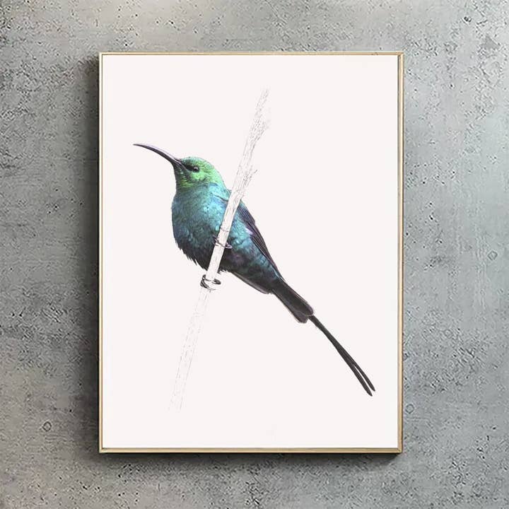 Malachite Sunbird - A4 Print (portrait) for wholesale by Hidden Planet