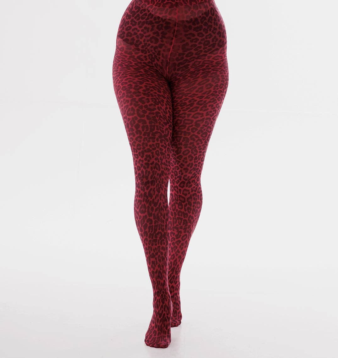 Pamela Mann - Wholesale Tights - Women's - Small Leopard Printed Tights11