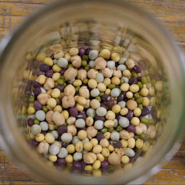 Sprouting Seed - Mega Protein Crunch, ORGANIC for wholesale by Sow True Seed