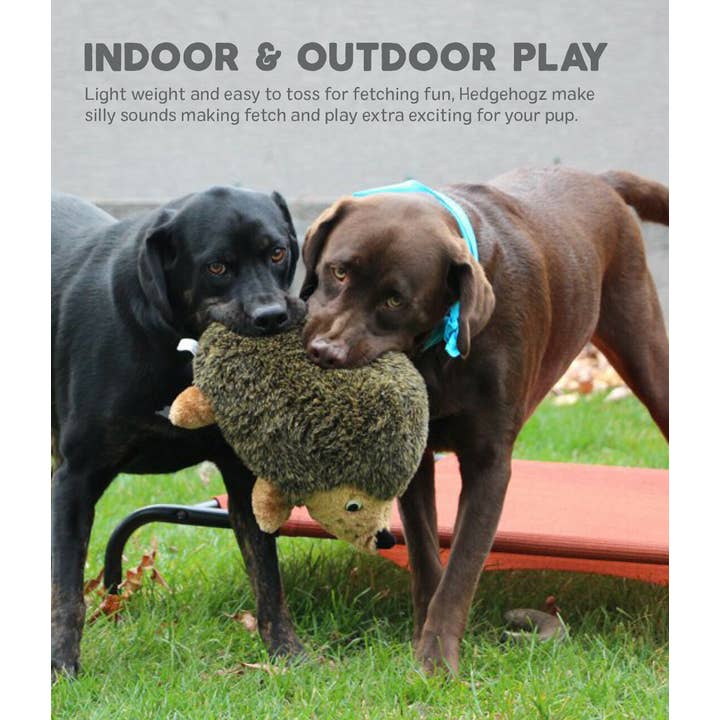 Pet Palette Distribution - Wholesale Pet Plush Toy - Dog - Outward Hound Hedgehogz Brown Plush Dog Toy Large