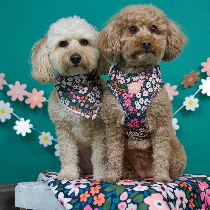 Wuffelliebe - Wholesale Pet Harness - Dog - Flower Field - tableware3