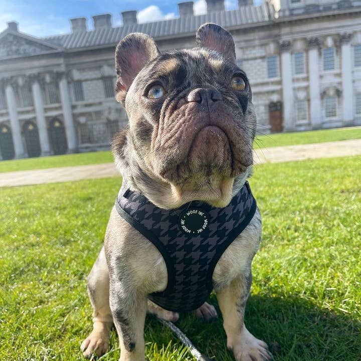 WOOF INC – Großhandel Haustiergeschirr – Hund – Verstellbares Hundegeschirr mit schwarzem Hahnentrittmuster2