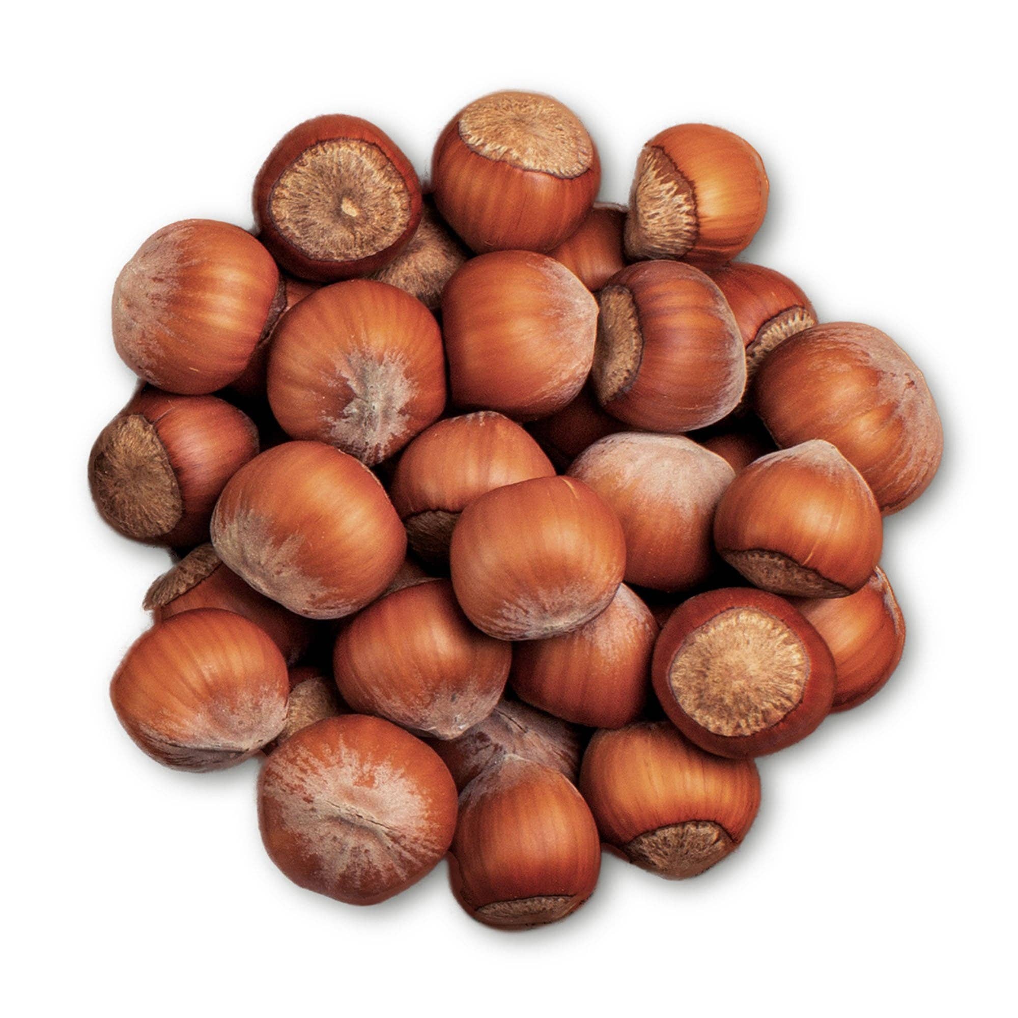 Food To Live - Wholesale Nuts - Hazelnuts in Shell - by Food to Live1