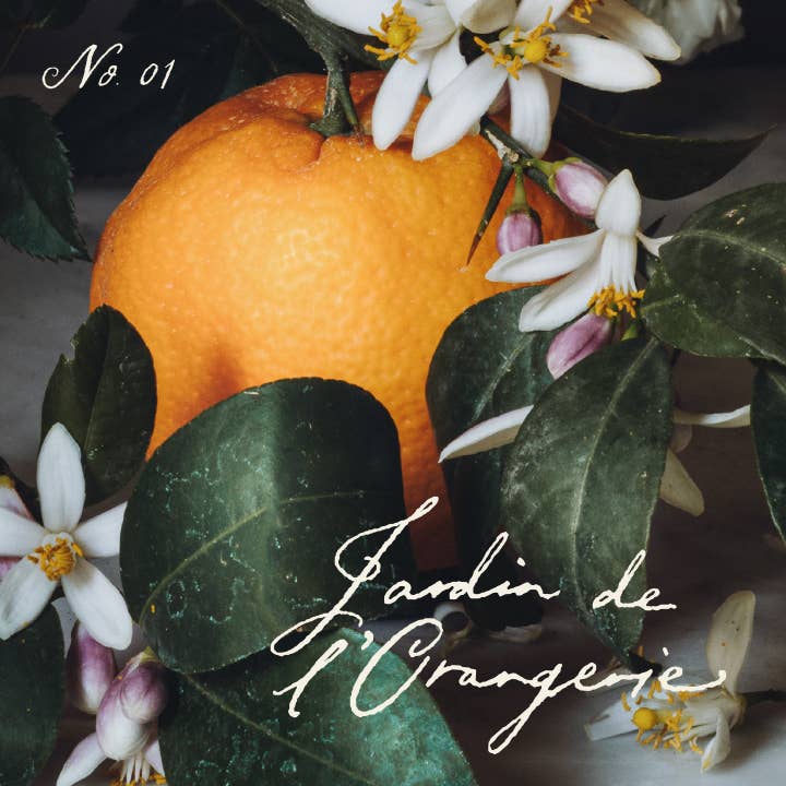 Jamie Beck - Wholesale Jar/Filled Candle - French Citrus Scented Candle • Jardin de l'Orangerie5