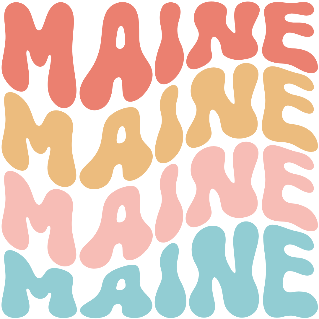 Daisy Mae Designs - Vente Aimants - Tous les 50 États Aimant Fort Acrylique Police Rétro – 2"x2"17