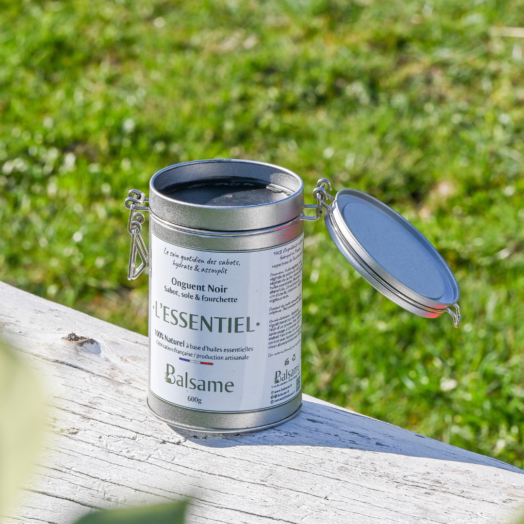 BALSAME - Wholesale Horse Conditioner/Grooming Aid - ESSENTIAL BLACK, Hoof Ointment1