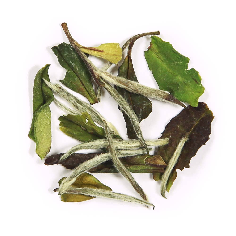 Octavia Tea - Wholesale Loose Tea - White Peony - Organic1