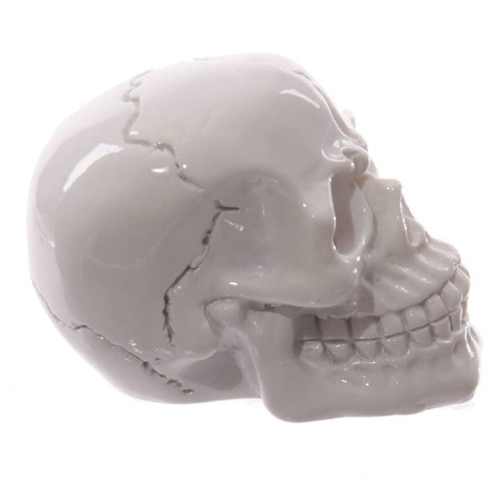 Puckator Ltd - Wholesale Ornament - Gruesome Small Skull Decorations