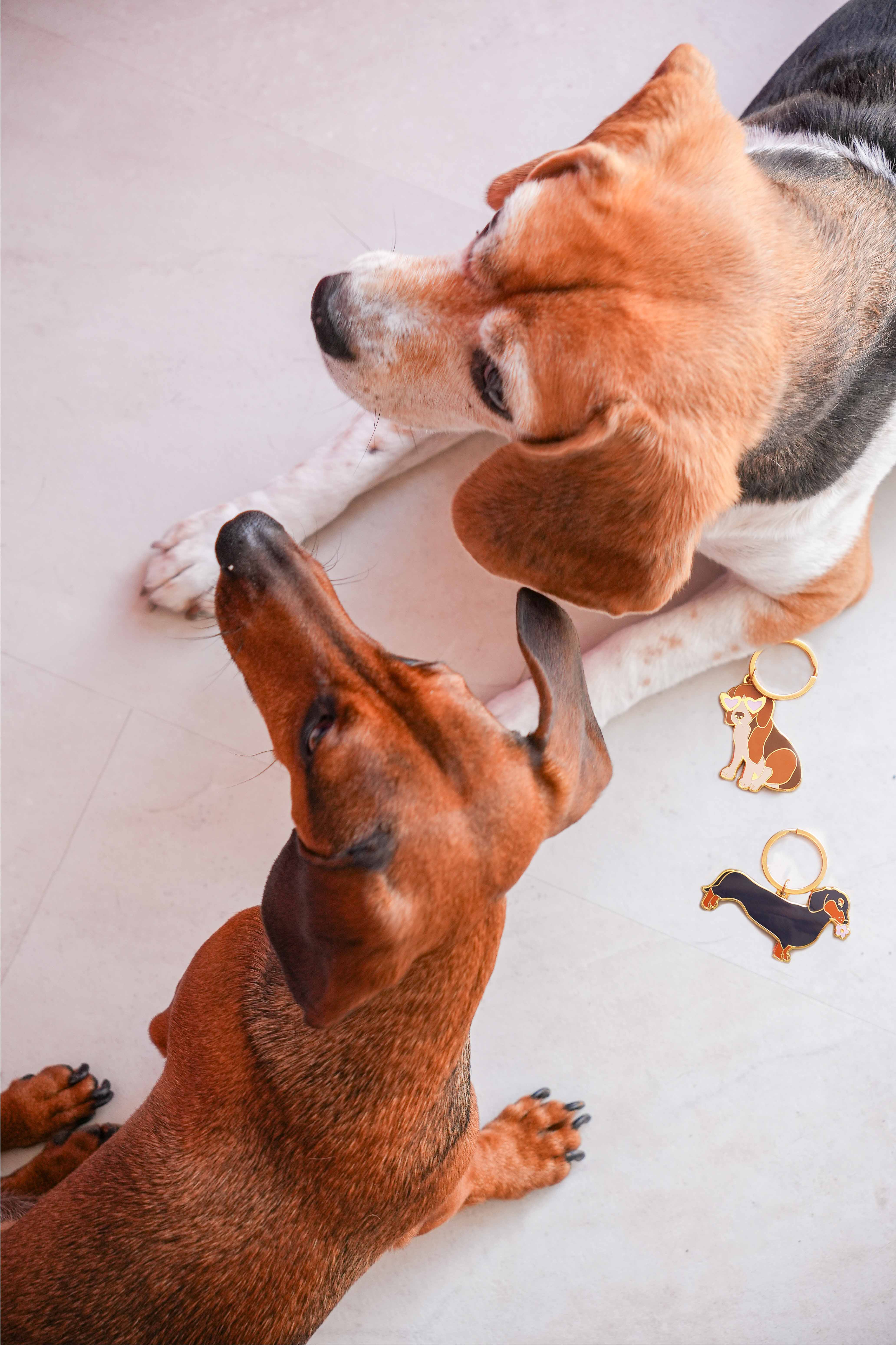 MALICIEUSE – Großhandel Schlüsselanhänger – Damen – Dackel-Schlüsselanhänger6